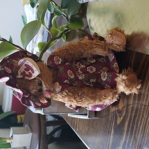 TY Emily Collectible  bear.